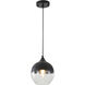 DU Series Pendant Ceiling Light, Round Black